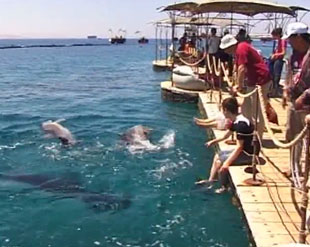 Eilat Trip 2006